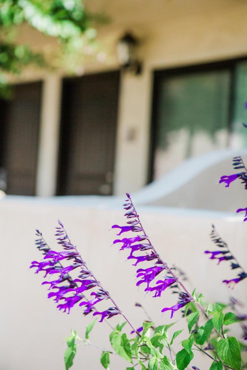 คาซา โอฮาย อินน์ Ojai ภายนอก รูปภาพ